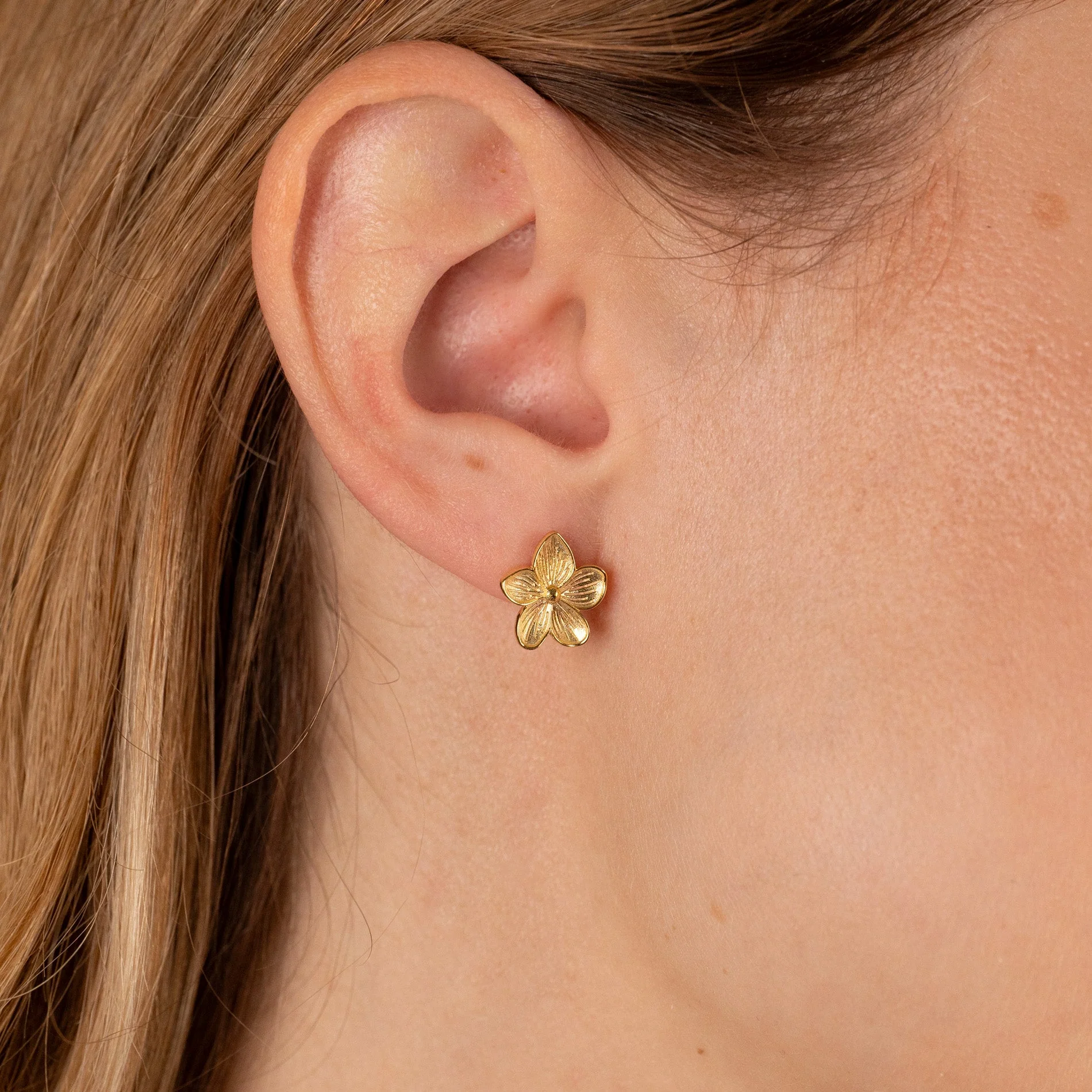 ANE GOLDEN STUD EARRING - Image 2