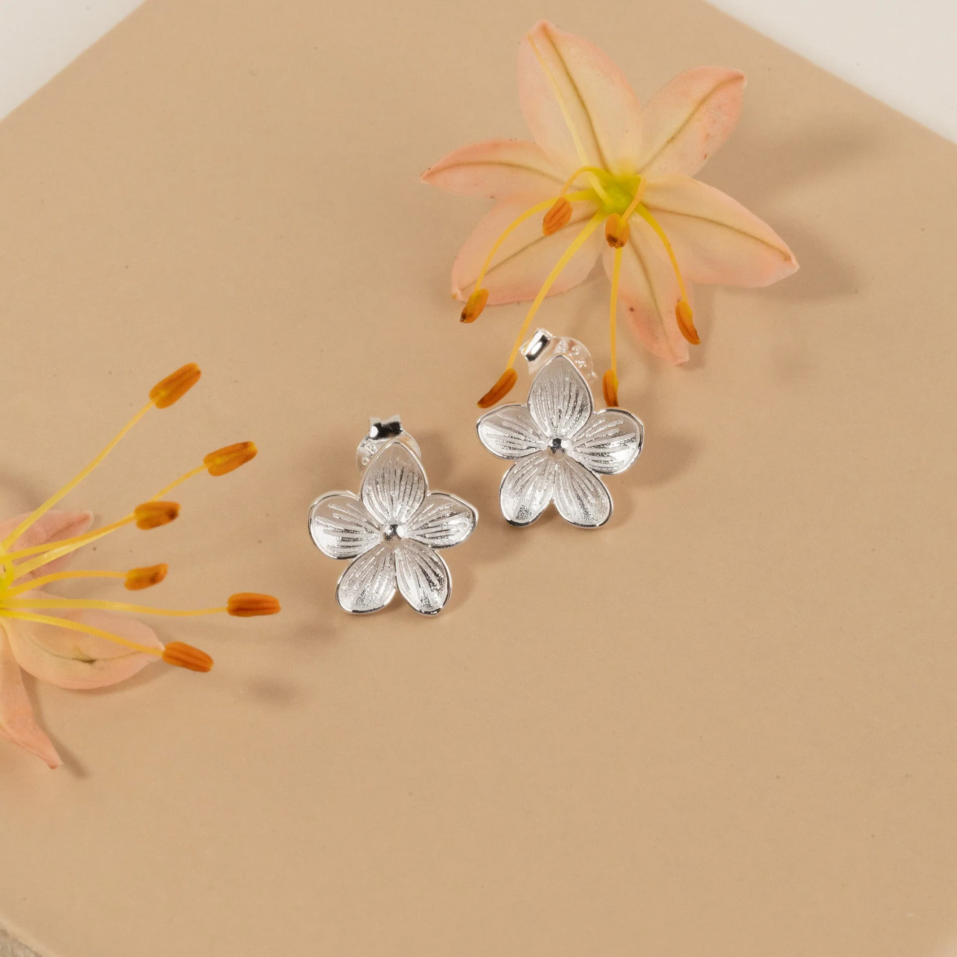ANE SILVER STUD EARRING - Image 3