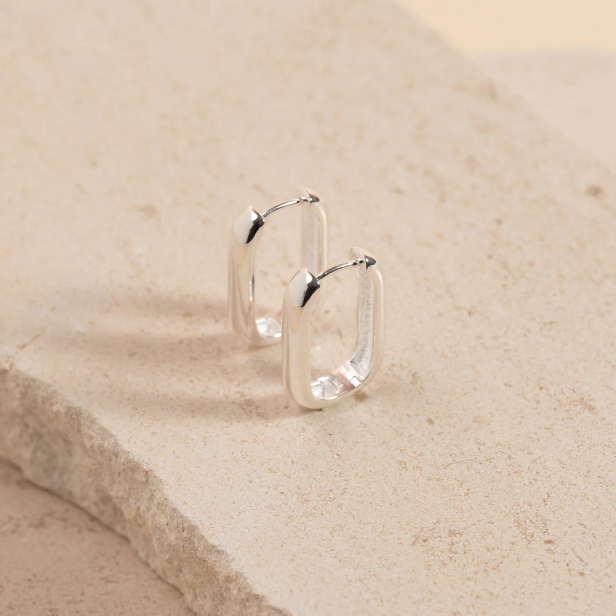 DANIELLE LARGE SILVER CREOL EARRING
