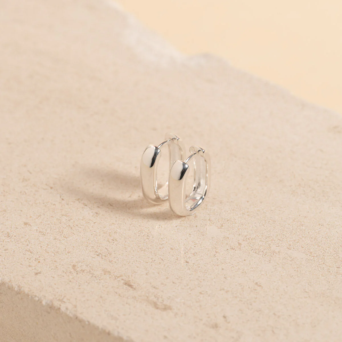 DANIELLE SMALL SILVER CREOL EARRING