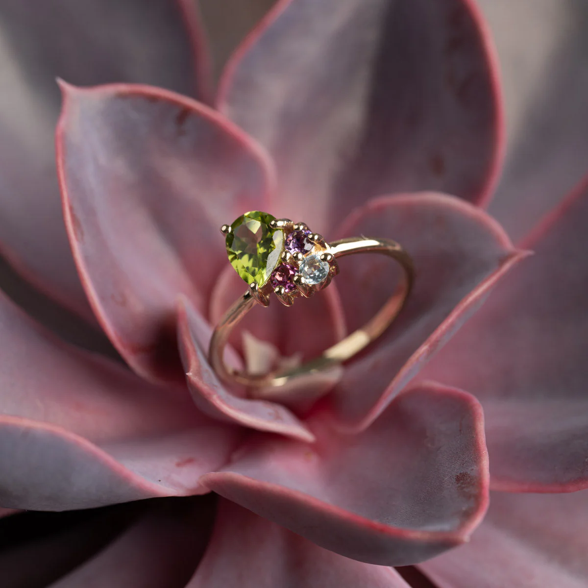 GYRITH GEM CLUSTER SOLID GOLD RING - Image 6