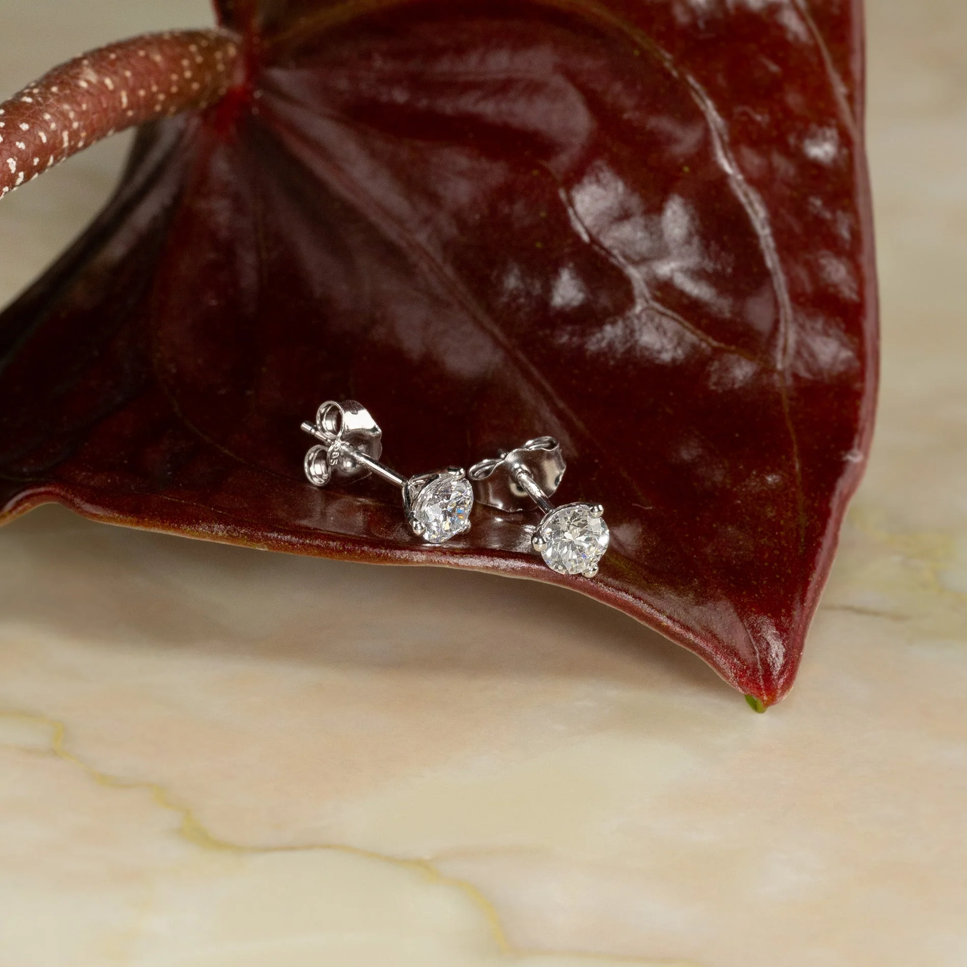 SIMPLE LAB-DIAMOND STUD EARRING - 0.75ct - WG - Image 3