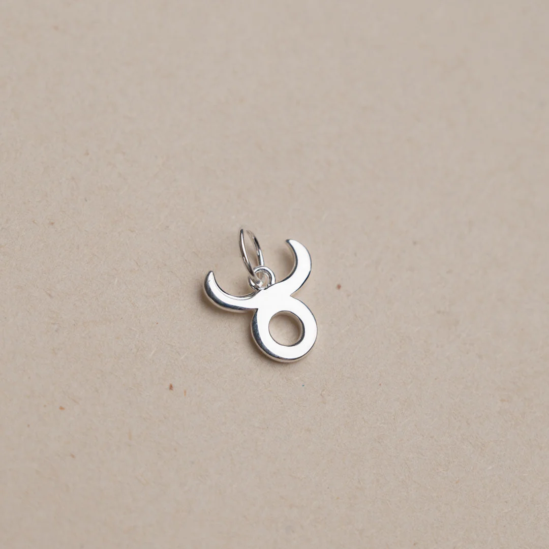 ZODIAC SILVER PENDANT - Image 10