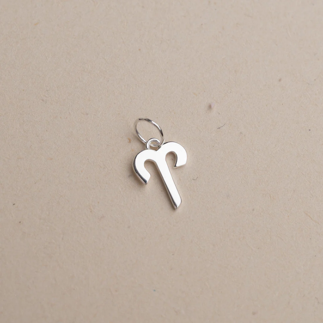 ZODIAC SILVER PENDANT - Image 12