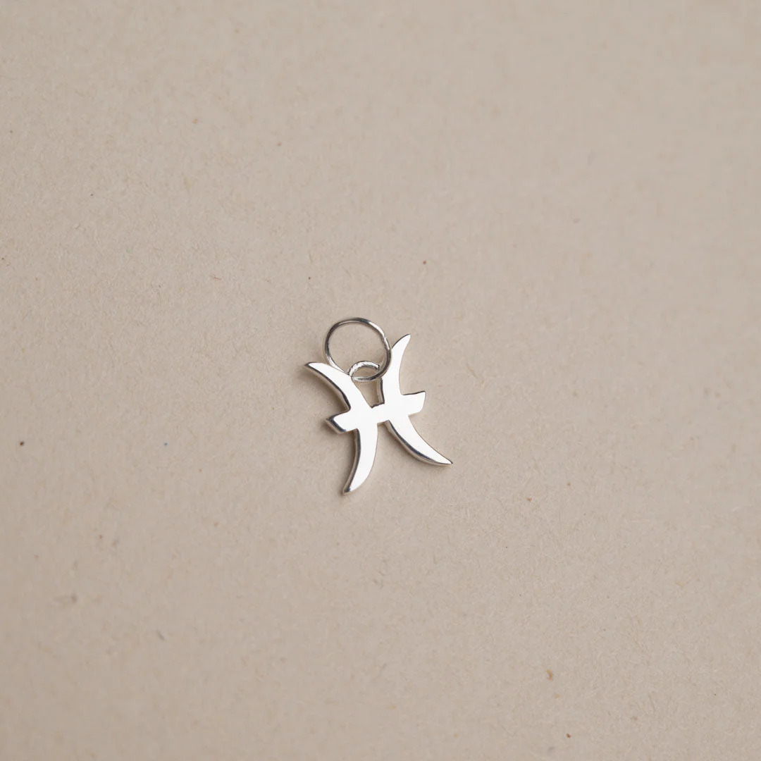 ZODIAC SILVER PENDANT - Image 8